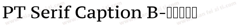 PT Serif Caption B字体转换